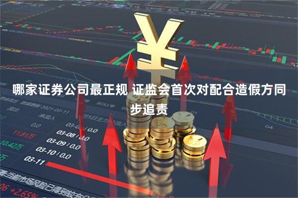 哪家证券公司最正规 证监会首次对配合造假方同步追责