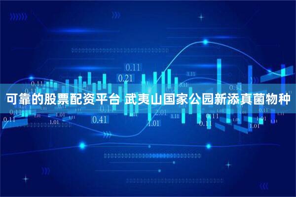 可靠的股票配资平台 武夷山国家公园新添真菌物种