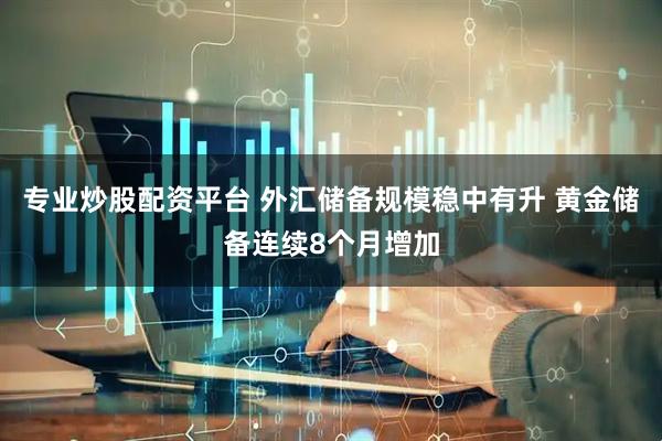 专业炒股配资平台 外汇储备规模稳中有升 黄金储备连续8个月增加
